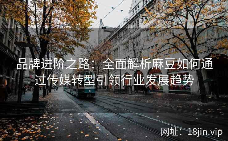 品牌进阶之路:全面解析麻豆如何通过传媒转型引领行业发展趋势 品牌进阶之路:全面解析麻豆如何通过传媒转型引领行业发展趋势