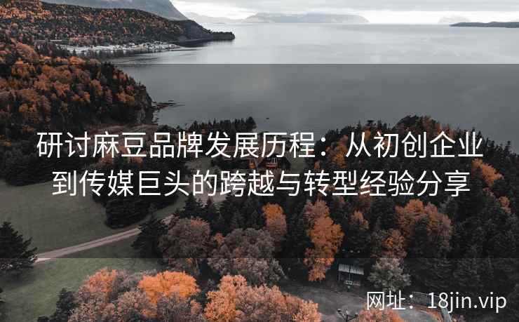 研讨麻豆品牌发展历程：从初创企业到传媒巨头的跨越与转型经验分享