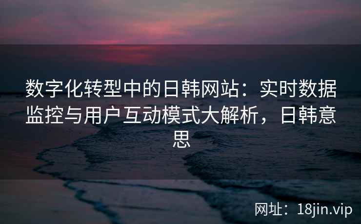数字化转型中的日韩网站:实时数据监控与用户互动模式大解析,日韩意思 数字化转型中的日韩网站:实时数据监控与用户互动模式大解析,日韩意思