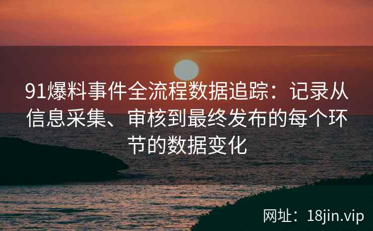 91爆料事件全流程数据追踪：记录从信息采集、审核到最终发布的每个环节的数据变化